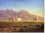 Albert Bierstadt Prong-Horned Antelope painting